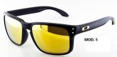 Oakley Holbrook