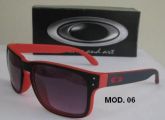Oakley Holbrook